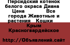 Персидский котенок белого окраса Диана › Цена ­ 40 000 - Все города Животные и растения » Кошки   . Крым,Красногвардейское